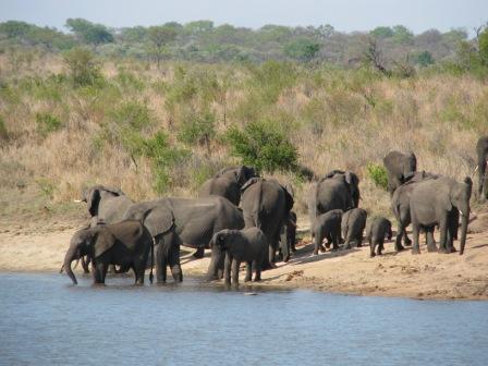 Kruger National Park
