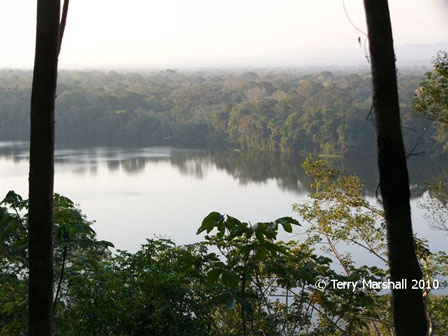Amazon Rainforest (Bolivia)