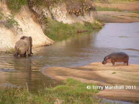 Ruaha National Park