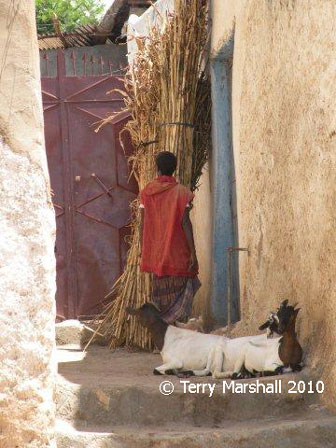 Harar