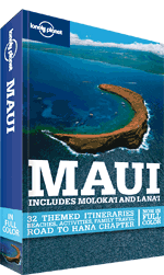 Lonely_Planet Maui