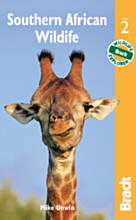 Bradt Southern African Wildlife
